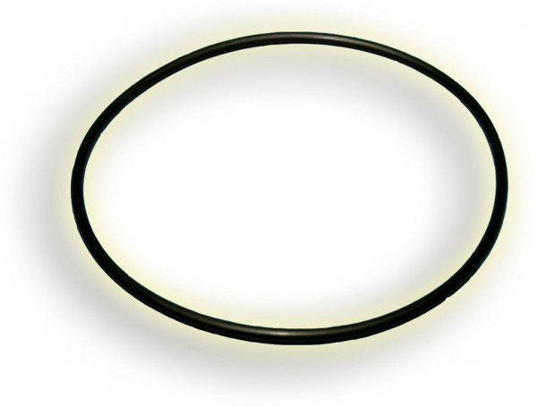 O-Ring 100x4