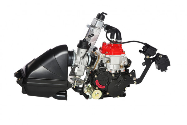 Motor Rotax 125 Micro MAX evo, Mod. 18