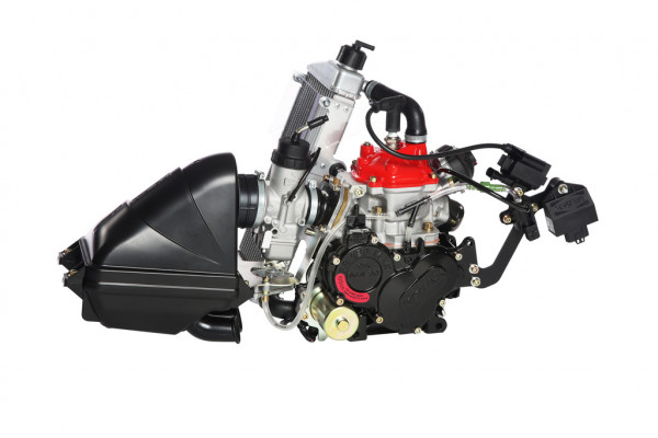 Motor Rotax 125 MAX EVO Mod. 18